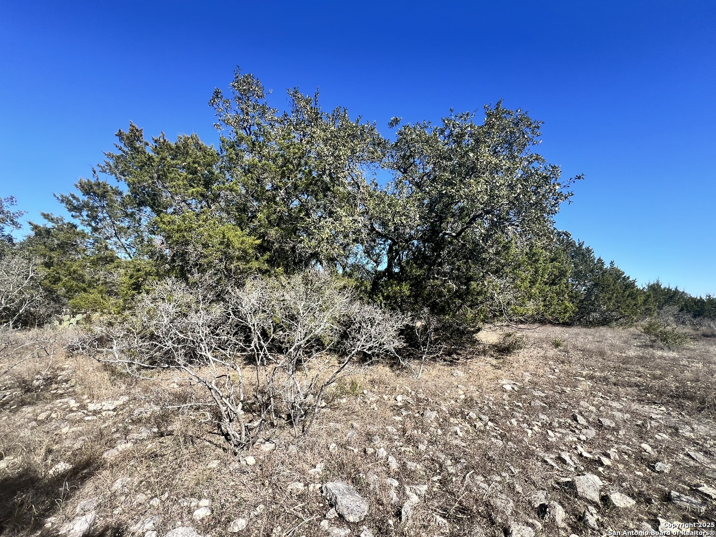 422 Eider Cove Spring Branch TX 78070