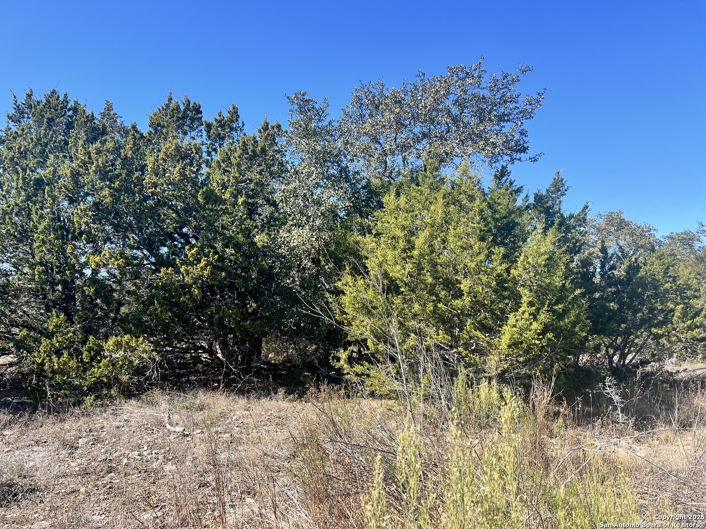 422 Eider Cove Spring Branch TX 78070