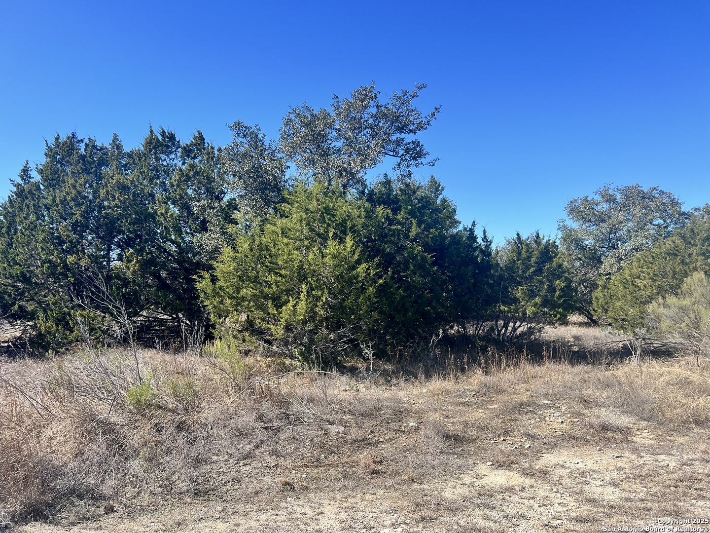 422 Eider Cove Spring Branch TX 78070