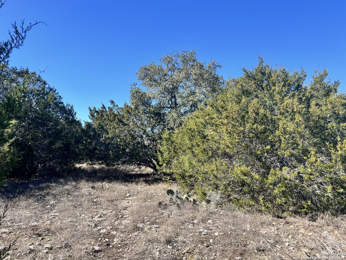 422 Eider Cove Spring Branch TX 78070