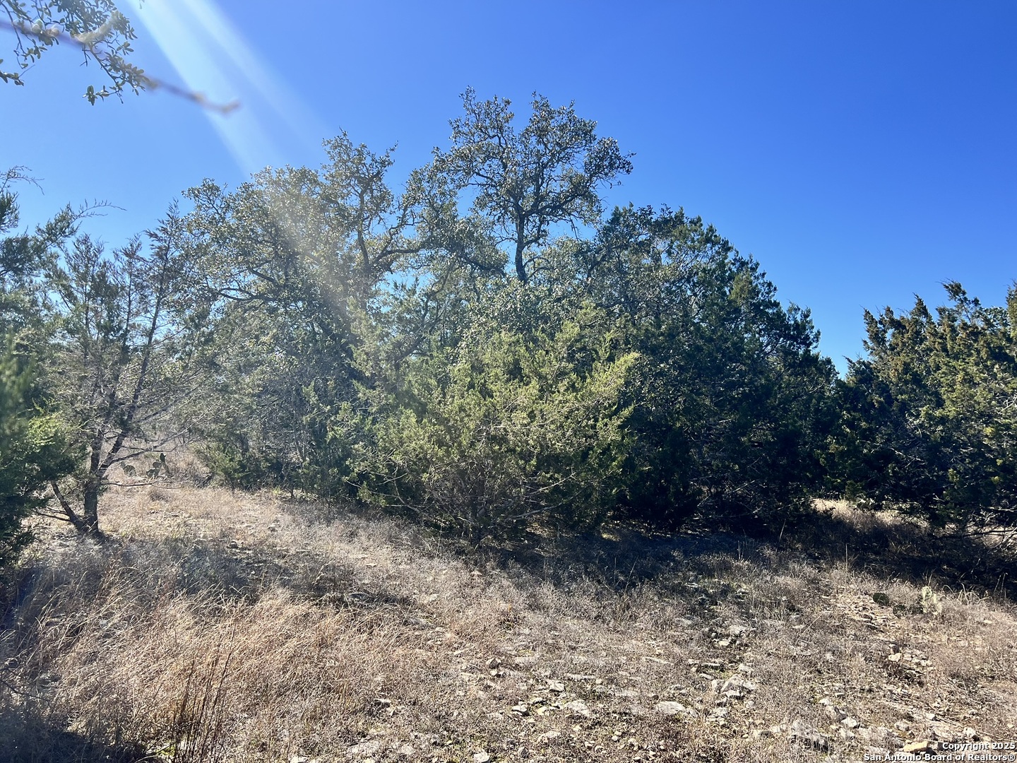 422 Eider Cove Spring Branch TX 78070