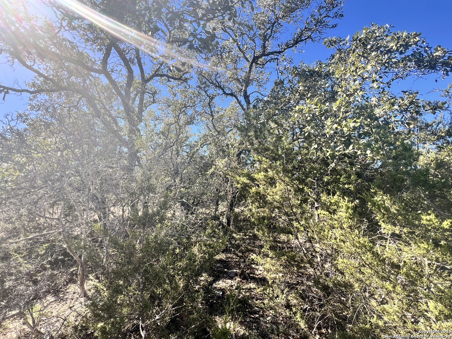 422 Eider Cove Spring Branch TX 78070