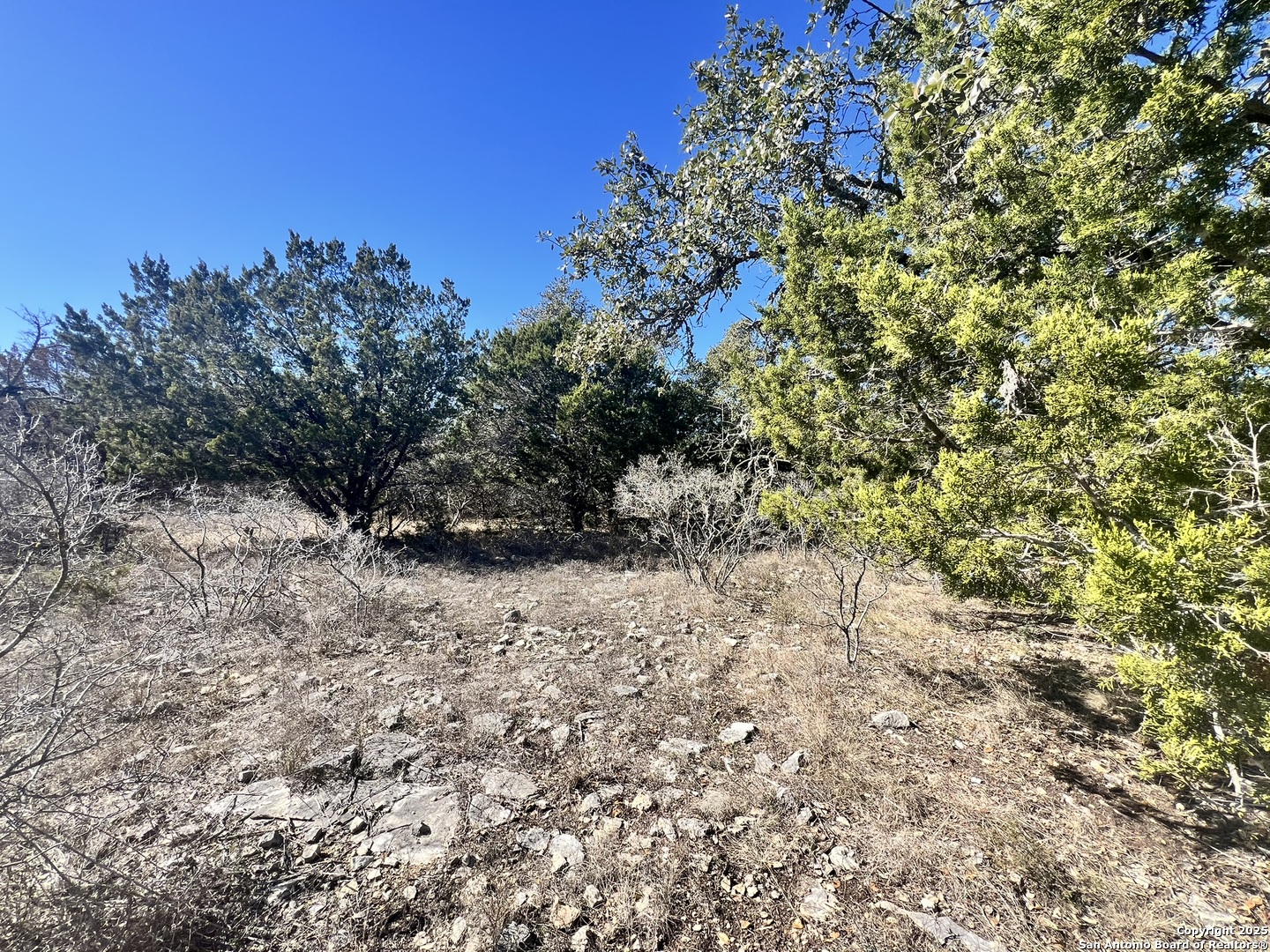 422 Eider Cove Spring Branch TX 78070
