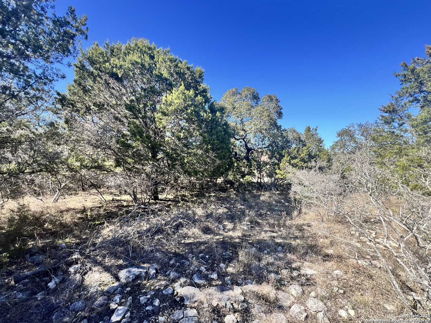 422 Eider Cove Spring Branch TX 78070