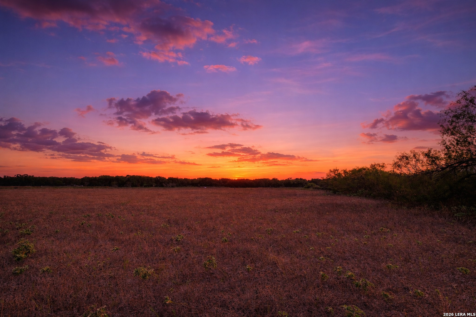 4401 Hardy Road Elmendorf TX 78112