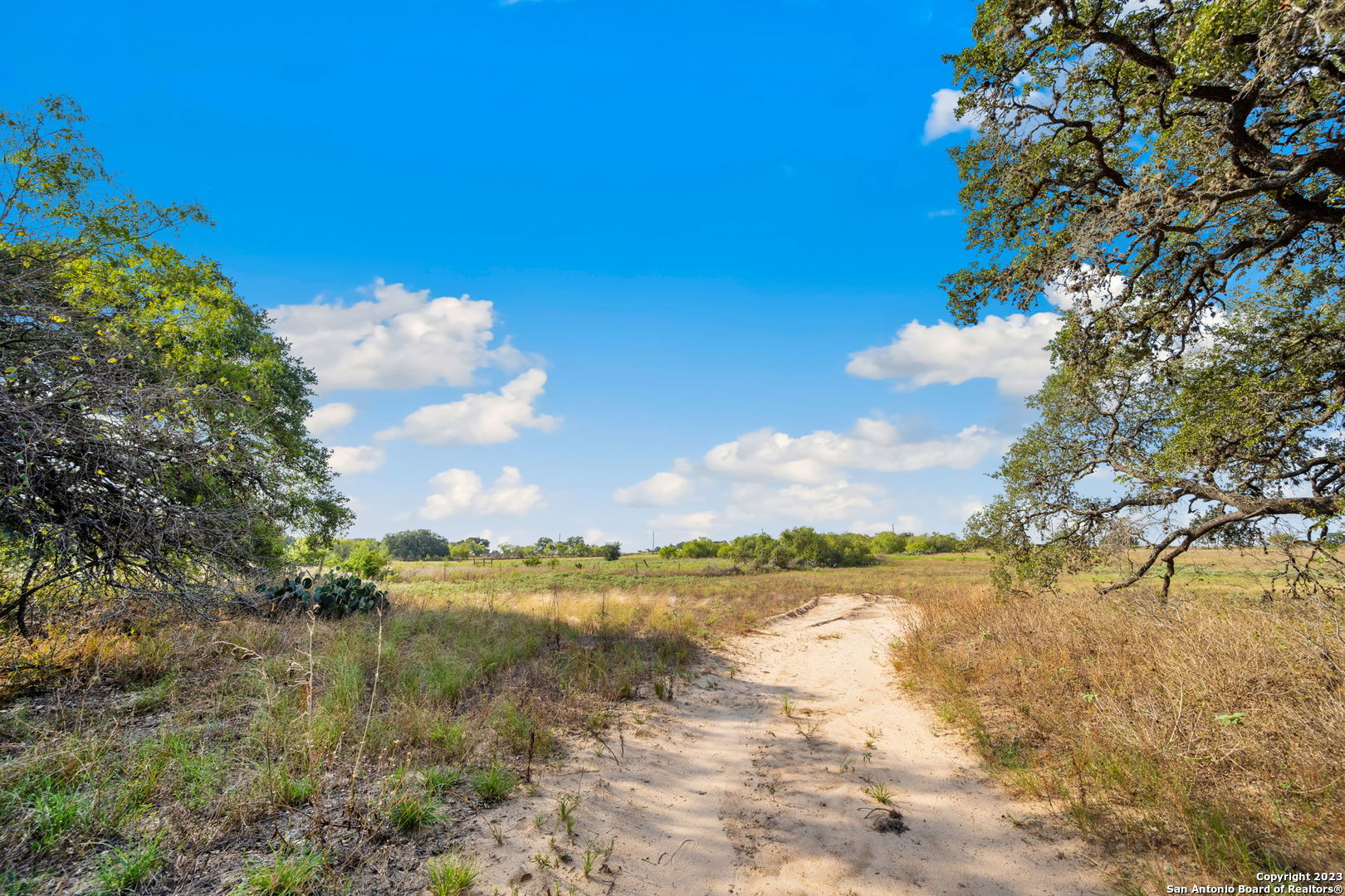 4401 Hardy Road Elmendorf TX 78112