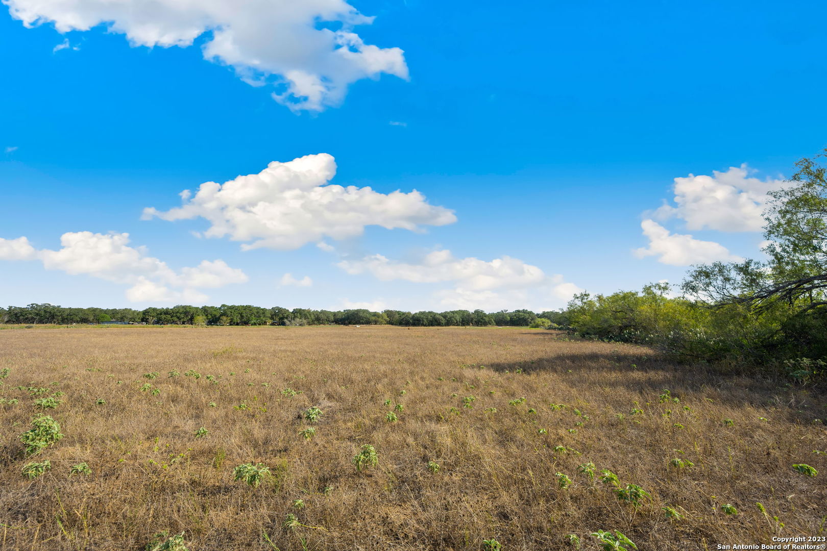 4401 Hardy Road Elmendorf TX 78112