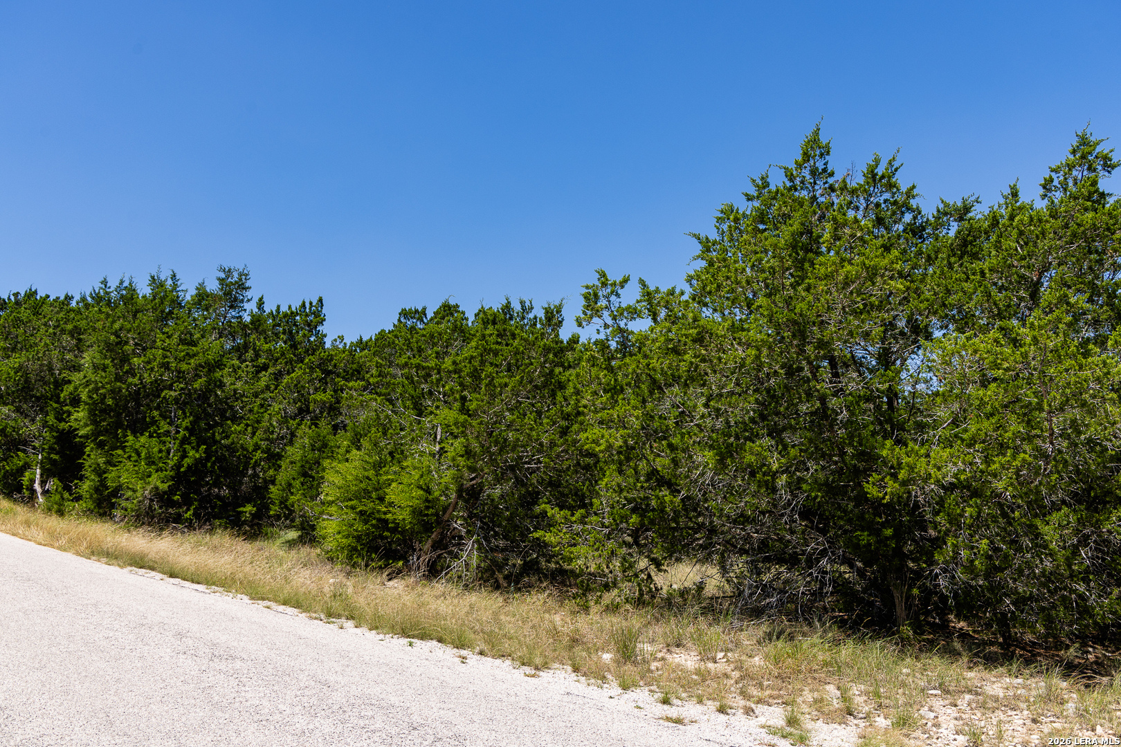 165 Cherry Springs Road Hunt TX 78024