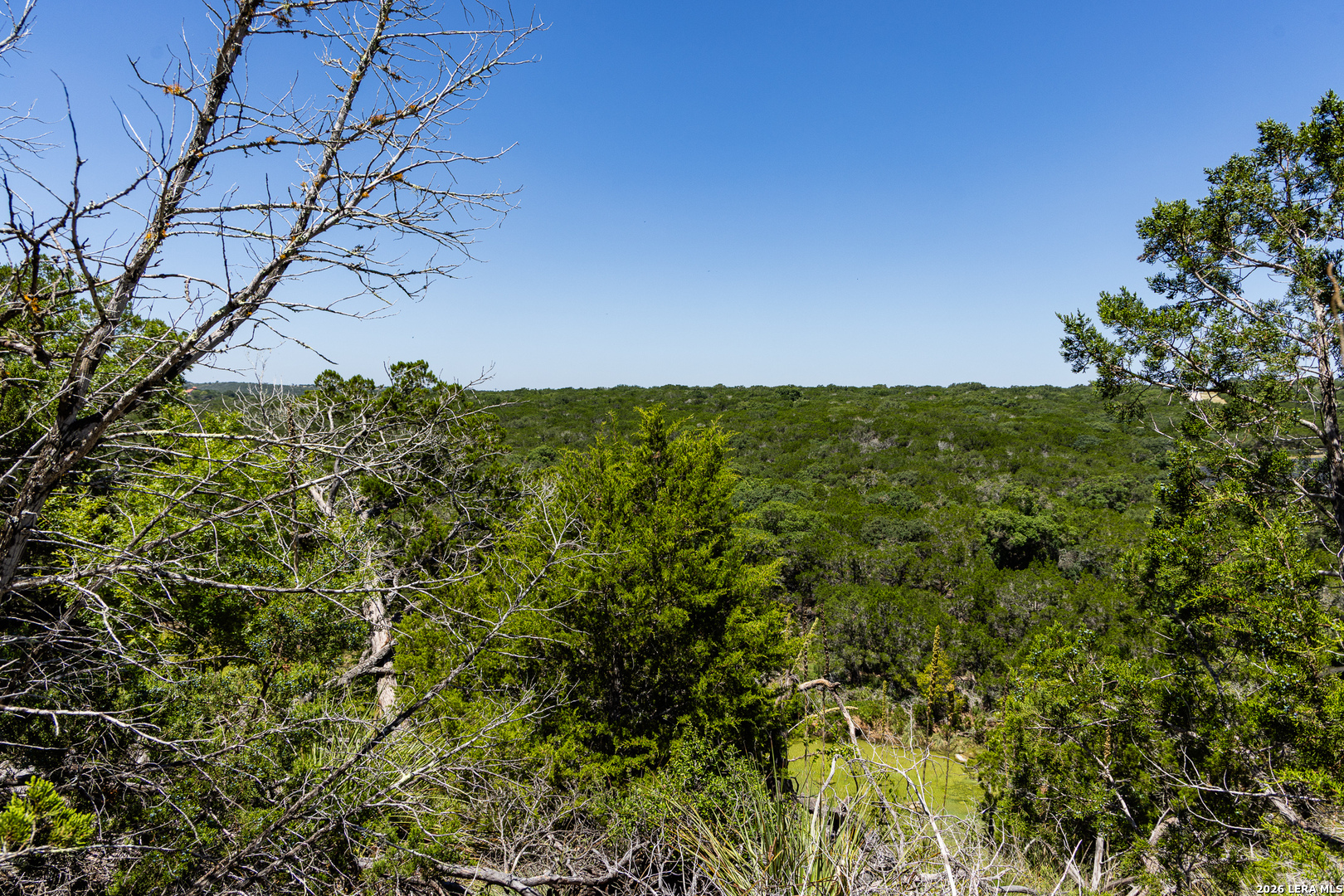 165 Cherry Springs Road Hunt TX 78024