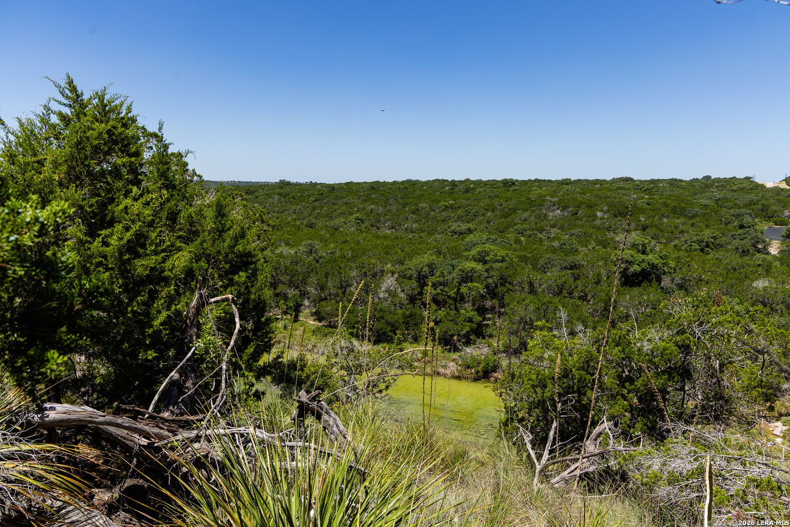 165 Cherry Springs Road Hunt TX 78024