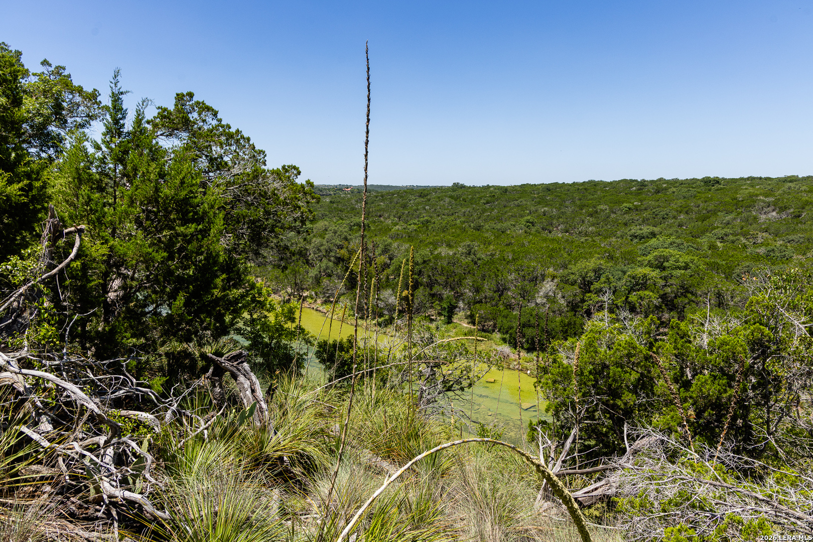 165 Cherry Springs Road Hunt TX 78024