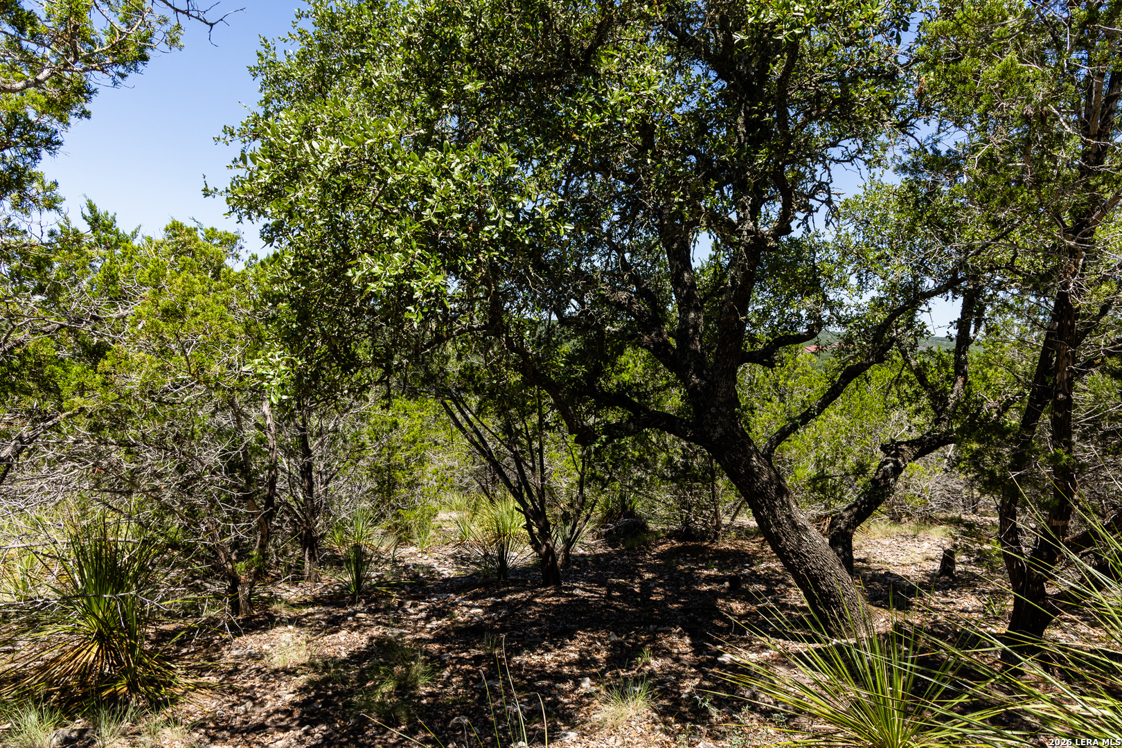 165 Cherry Springs Road Hunt TX 78024