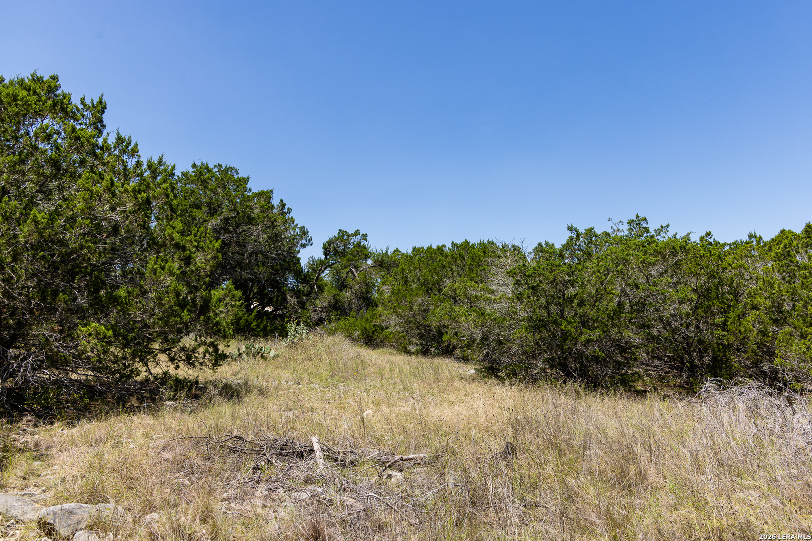 165 Cherry Springs Road Hunt TX 78024