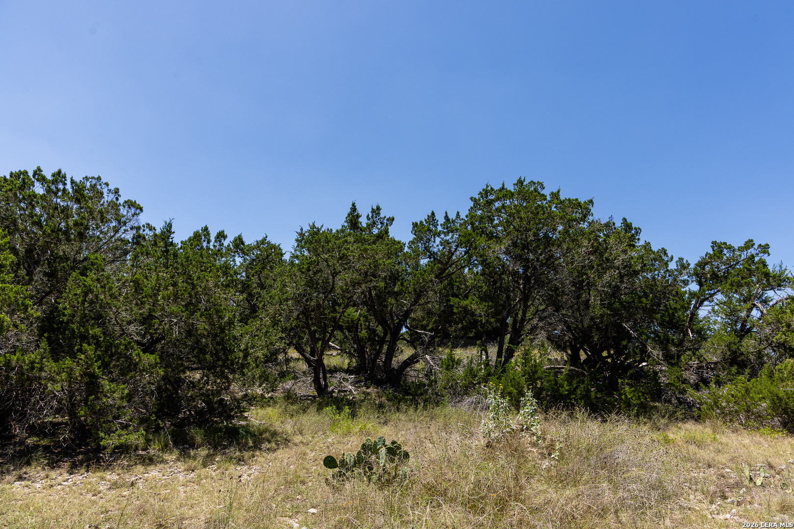 165 Cherry Springs Road Hunt TX 78024