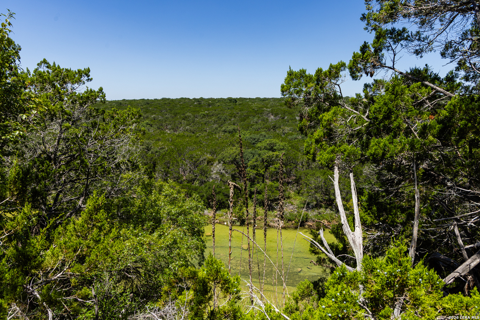 165 Cherry Springs Road Hunt TX 78024