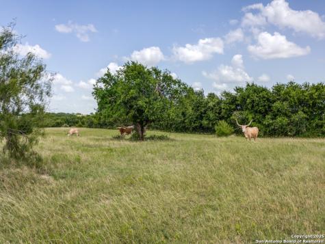 2186 Fm 470 Bandera TX 78003