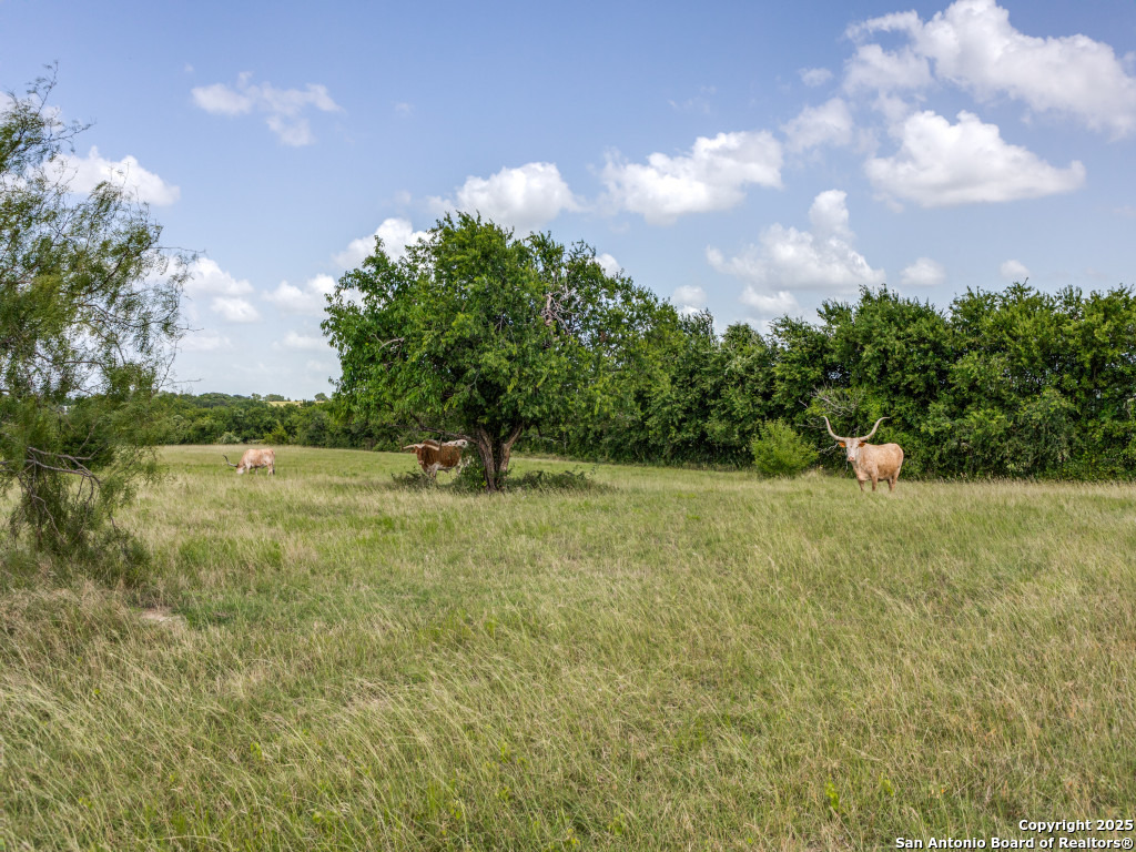 2186 Fm 470 Bandera TX 78003