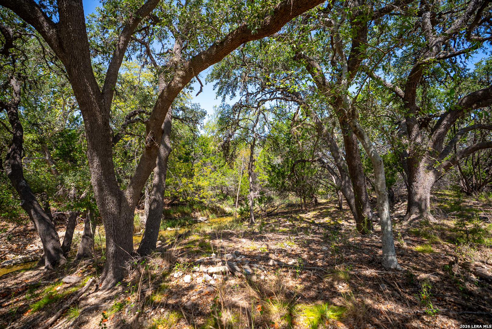 2186 Fm 470 Bandera TX 78003