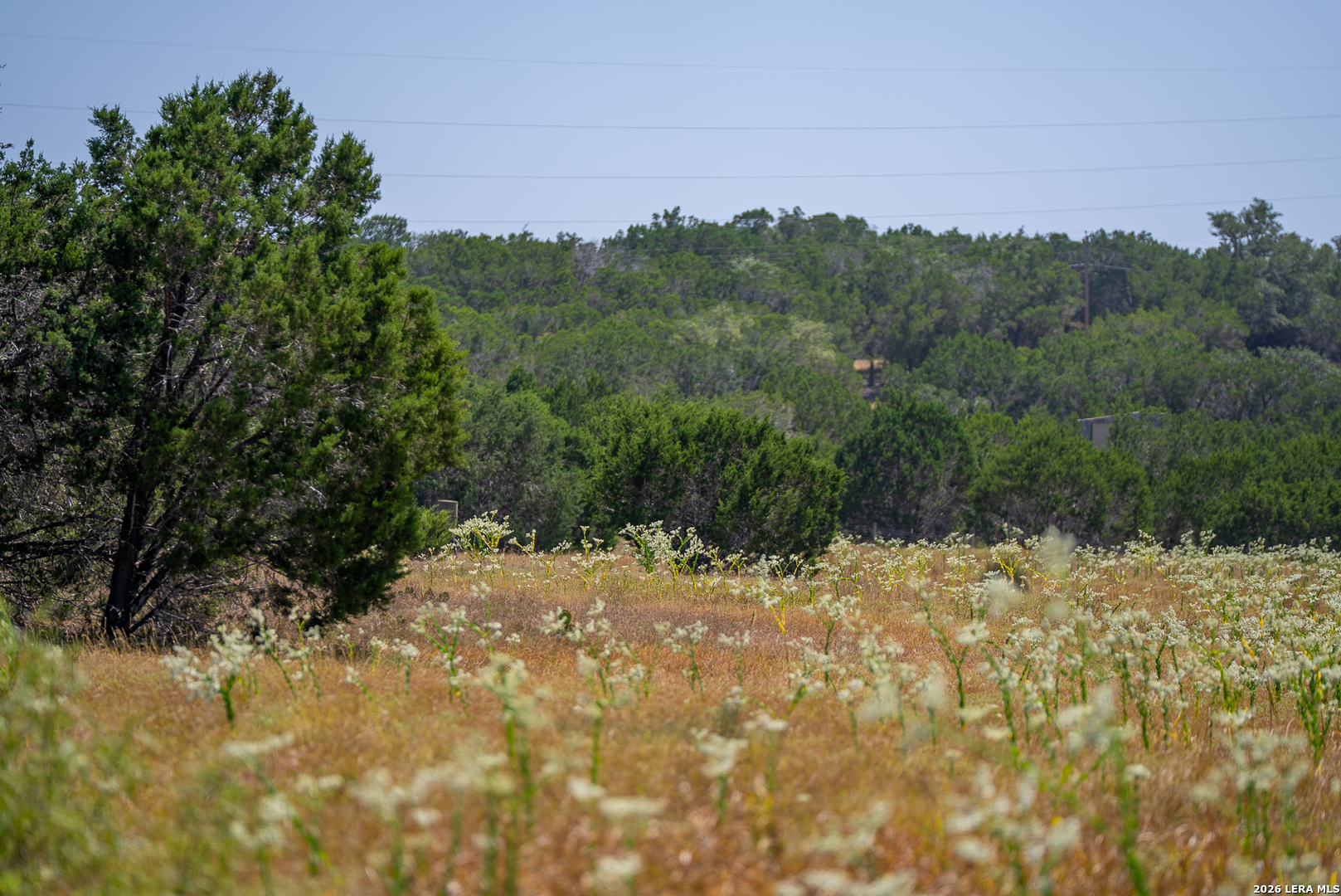 2186 Fm 470 Bandera TX 78003