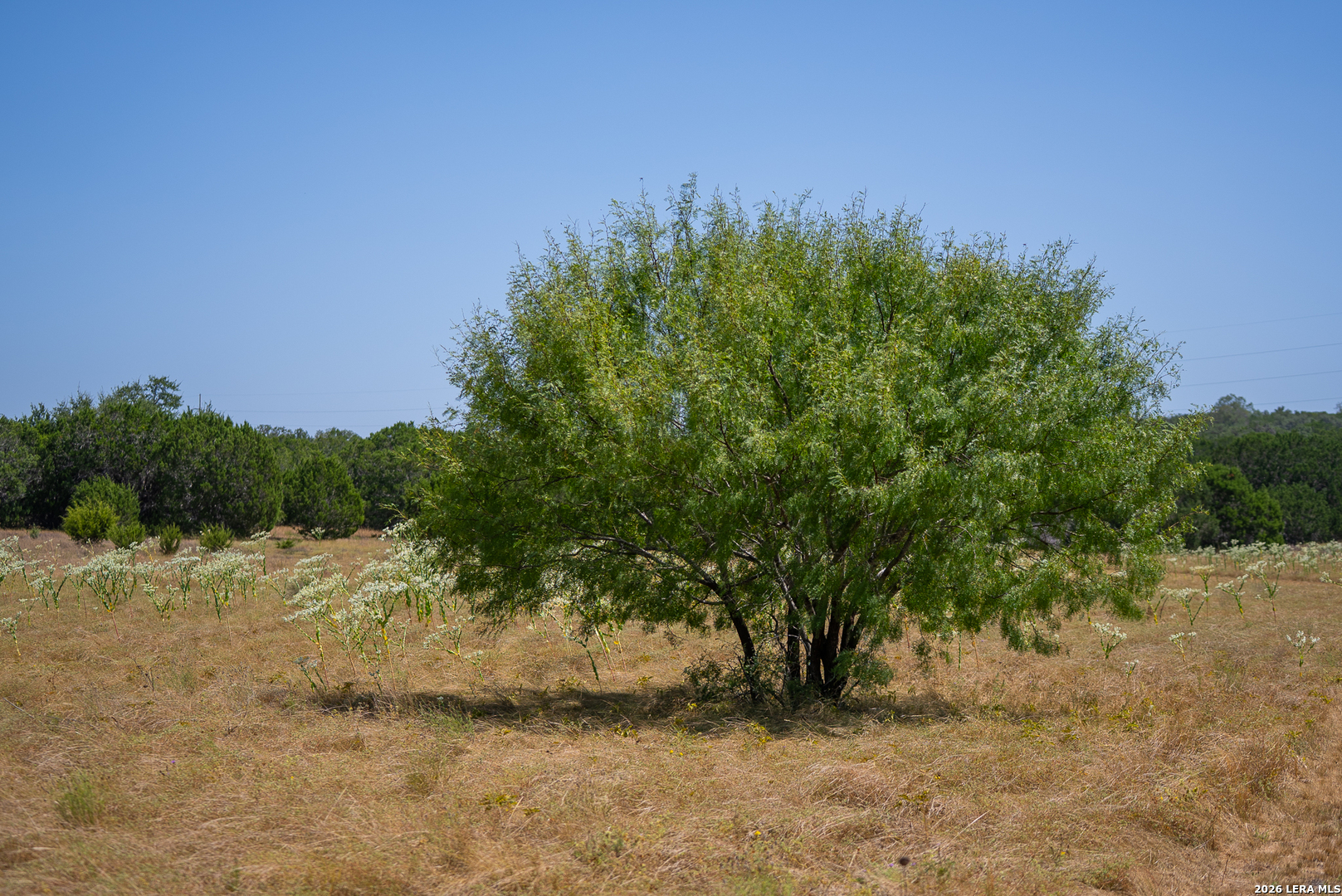 2186 Fm 470 Bandera TX 78003