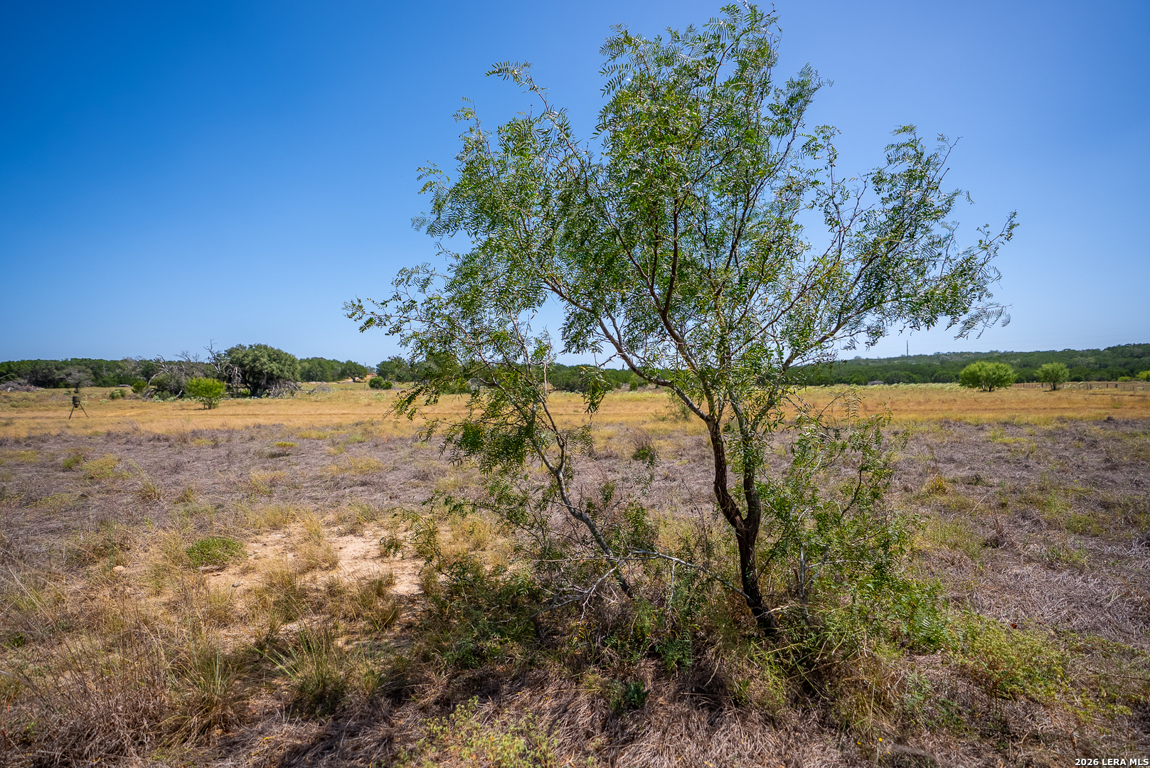2186 Fm 470 Bandera TX 78003