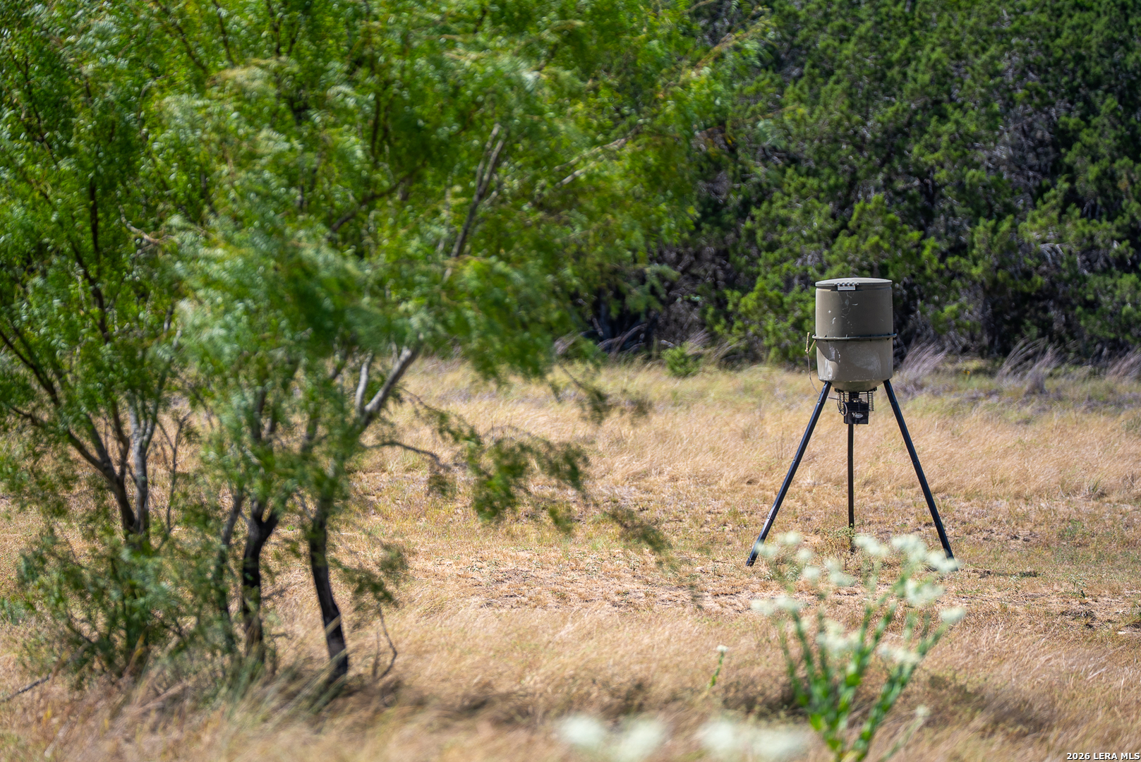 2186 Fm 470 Bandera TX 78003