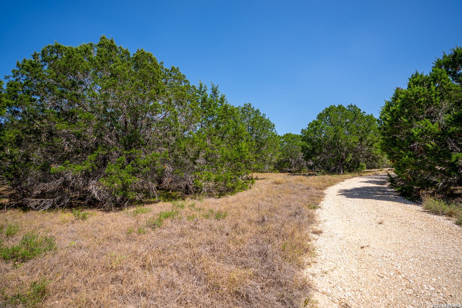 2186 Fm 470 Bandera TX 78003