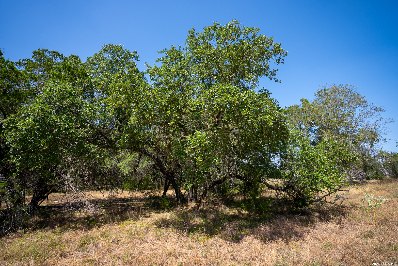 2186 Fm 470 Bandera TX 78003