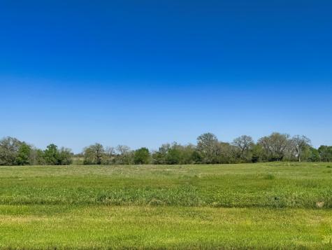 10094 Panther Creek Drive Iola TX 77861
