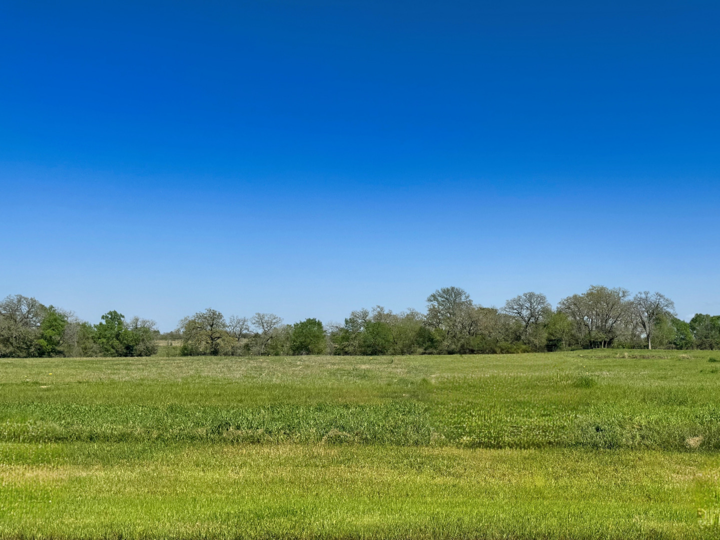 10094 Panther Creek Drive Iola TX 77861