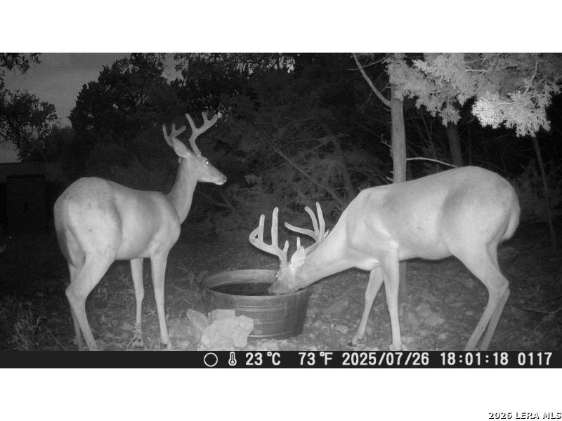 210 Ghost Dancer Fischer TX 78623