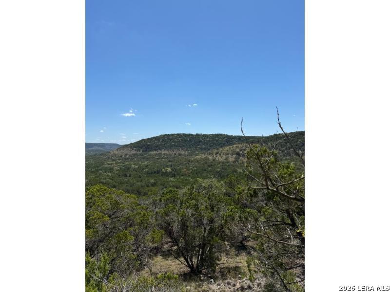 210 Ghost Dancer Fischer TX 78623