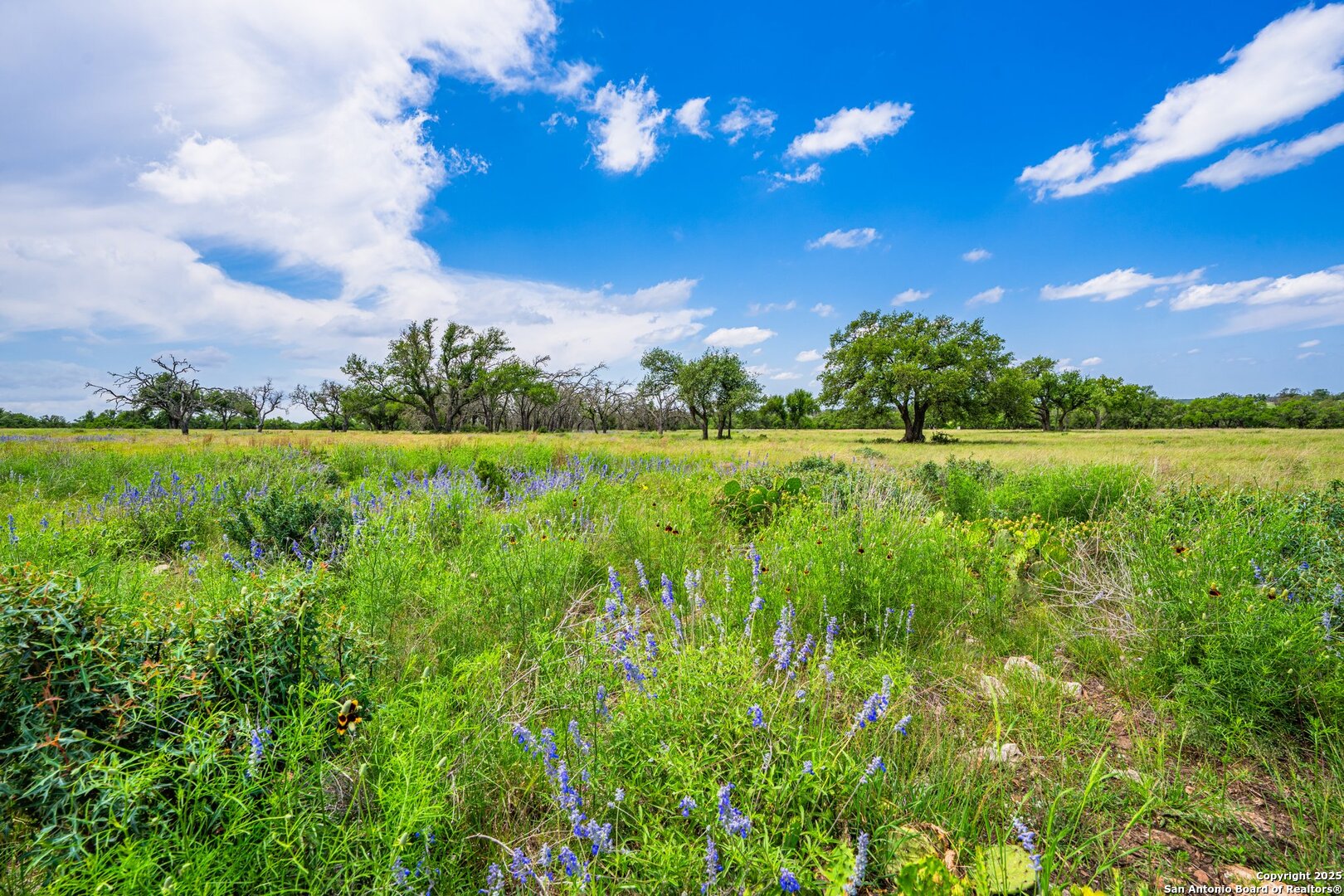 Lot 79 Stock Pond Drive Harper TX 78631