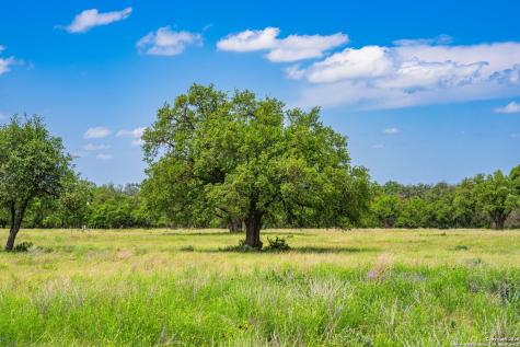 Lot 79 Stock Pond Drive Harper TX 78631