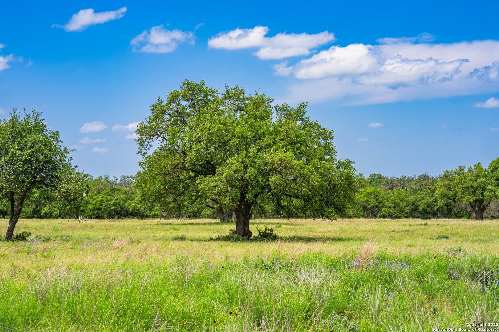 Lot 79 Stock Pond Drive Harper TX 78631