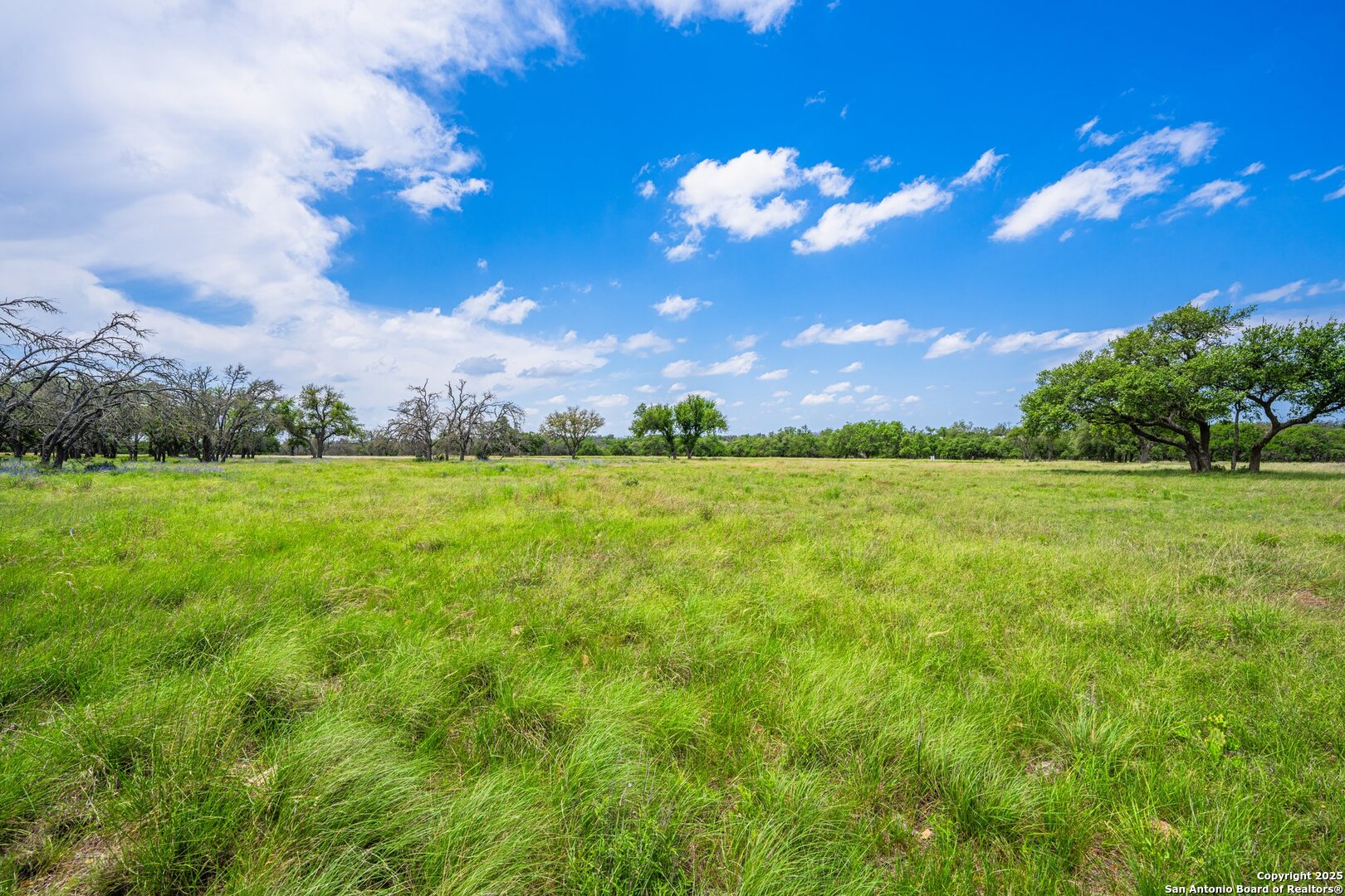 Lot 79 Stock Pond Drive Harper TX 78631