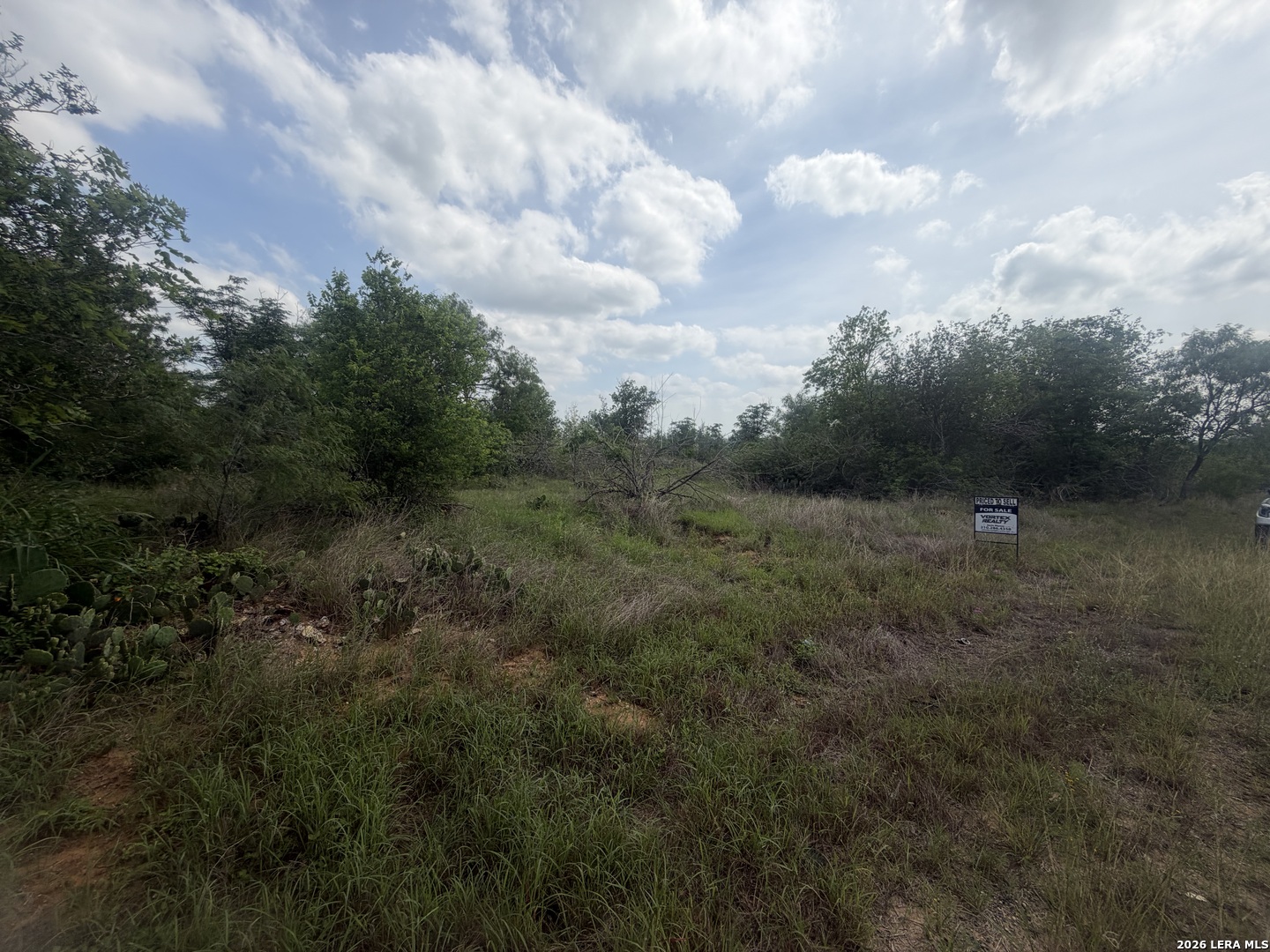 5835 Hardy Road Elmendorf TX 78112