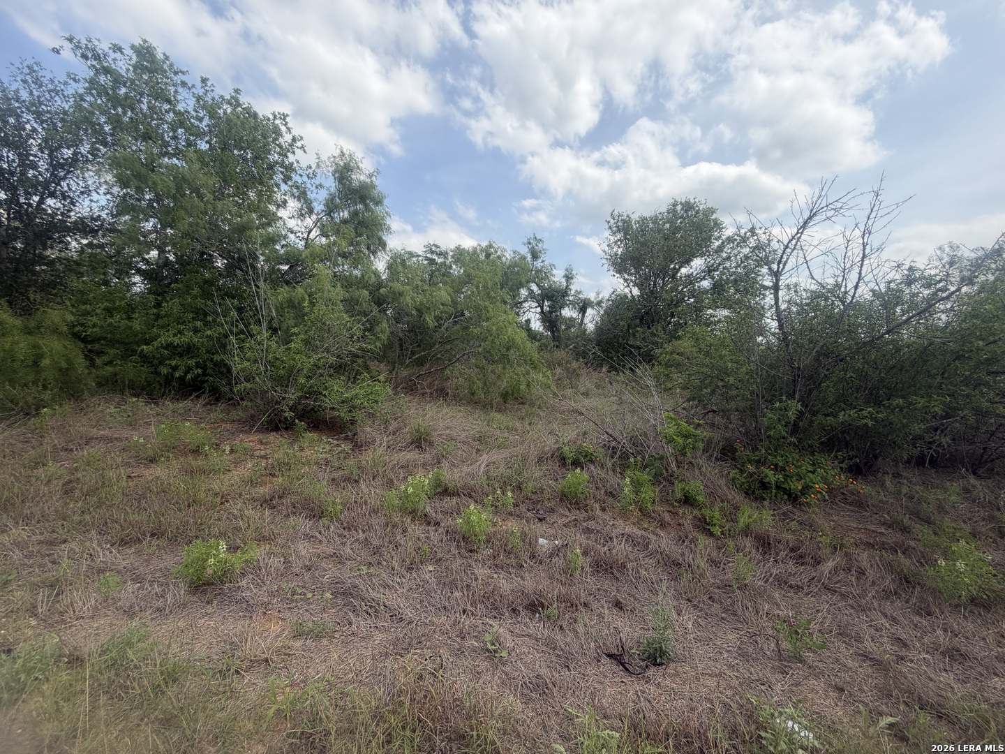 5835 Hardy Road Elmendorf TX 78112