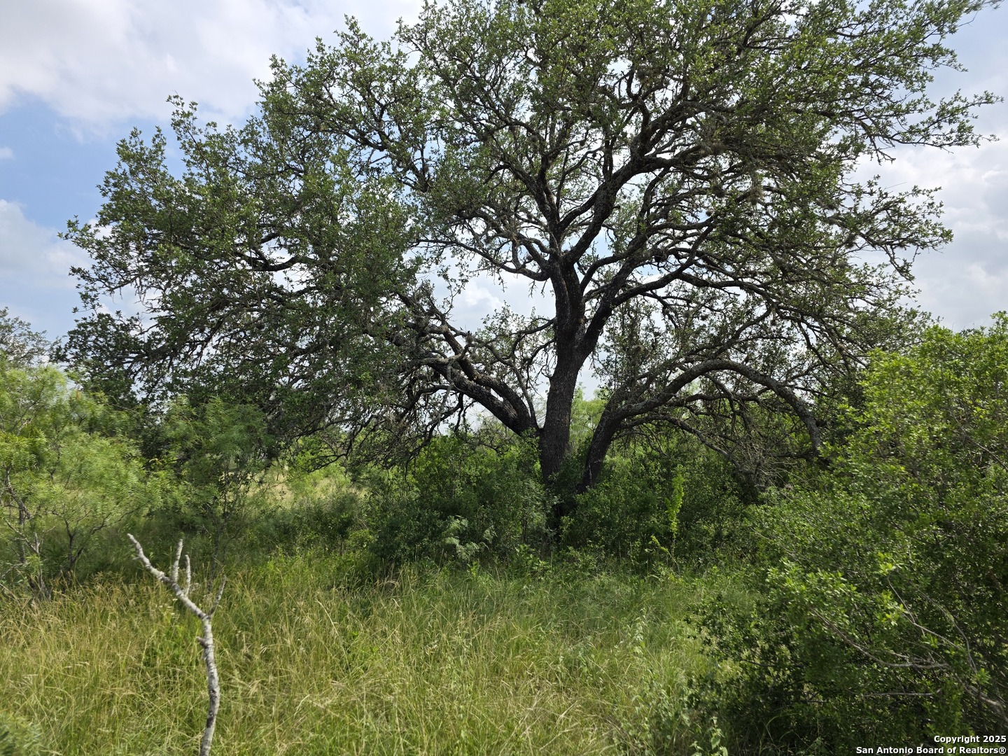 000 Cr 312 Dhanis TX 78850