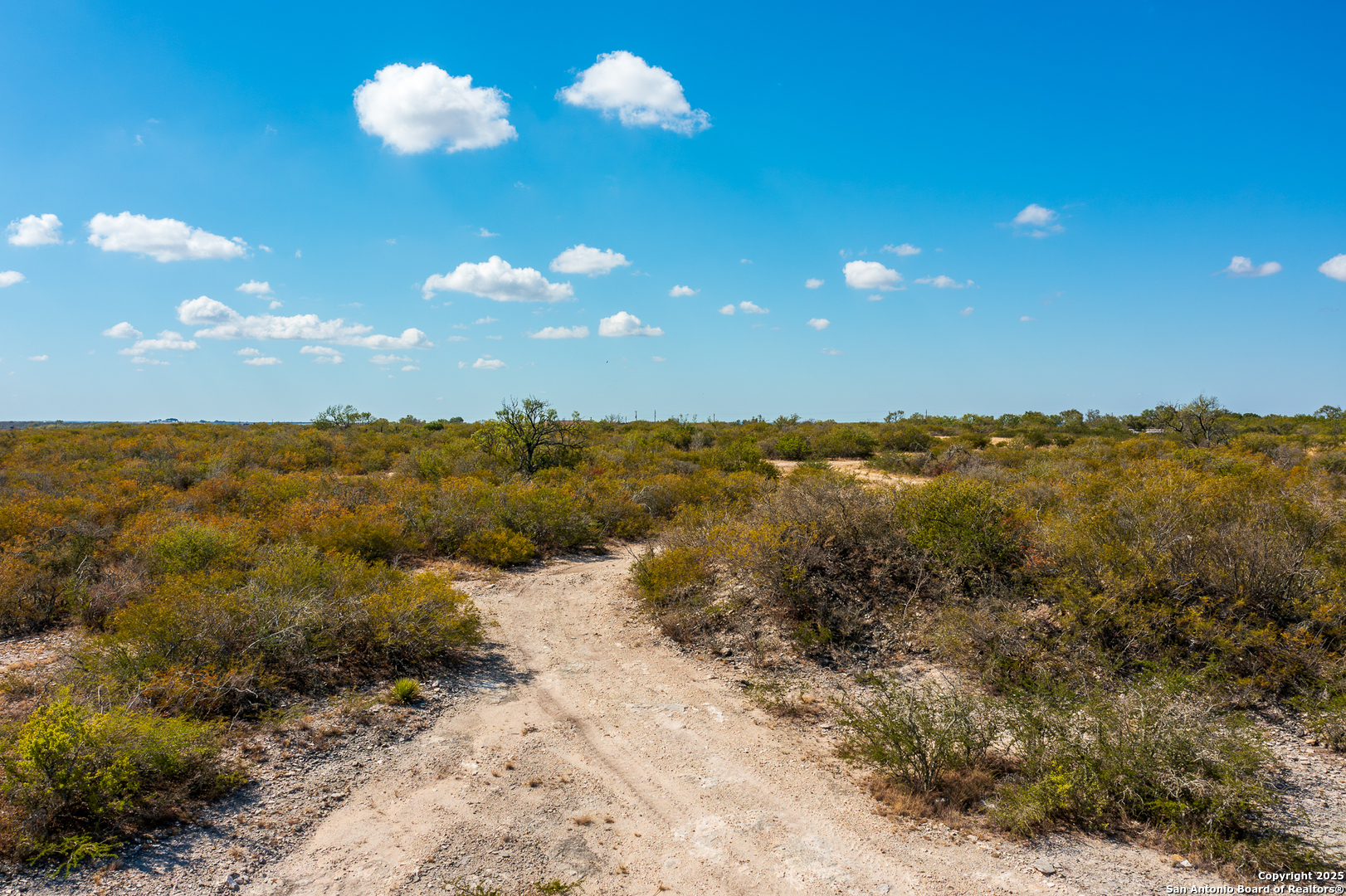 840 County Road 652 Devine TX 78016