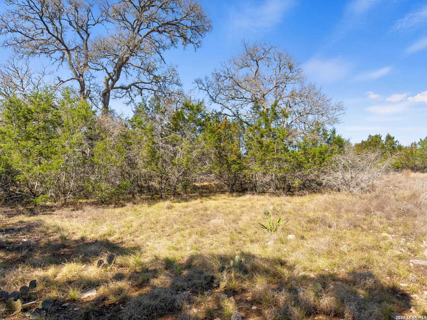 535 Left Fork Place Spring Branch TX 78070