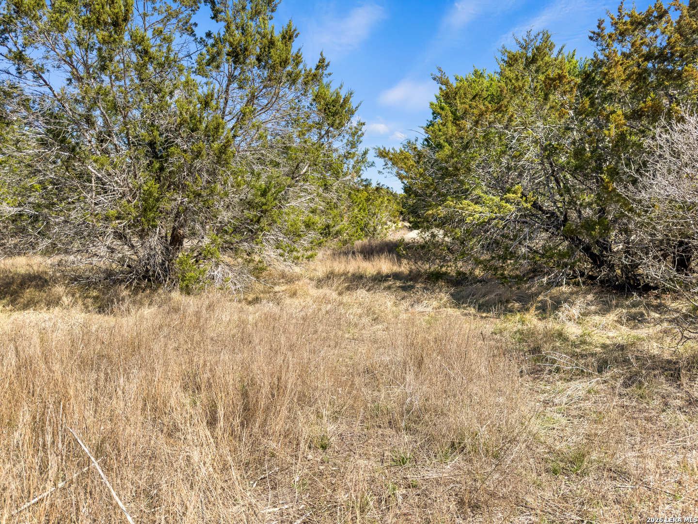 535 Left Fork Place Spring Branch TX 78070