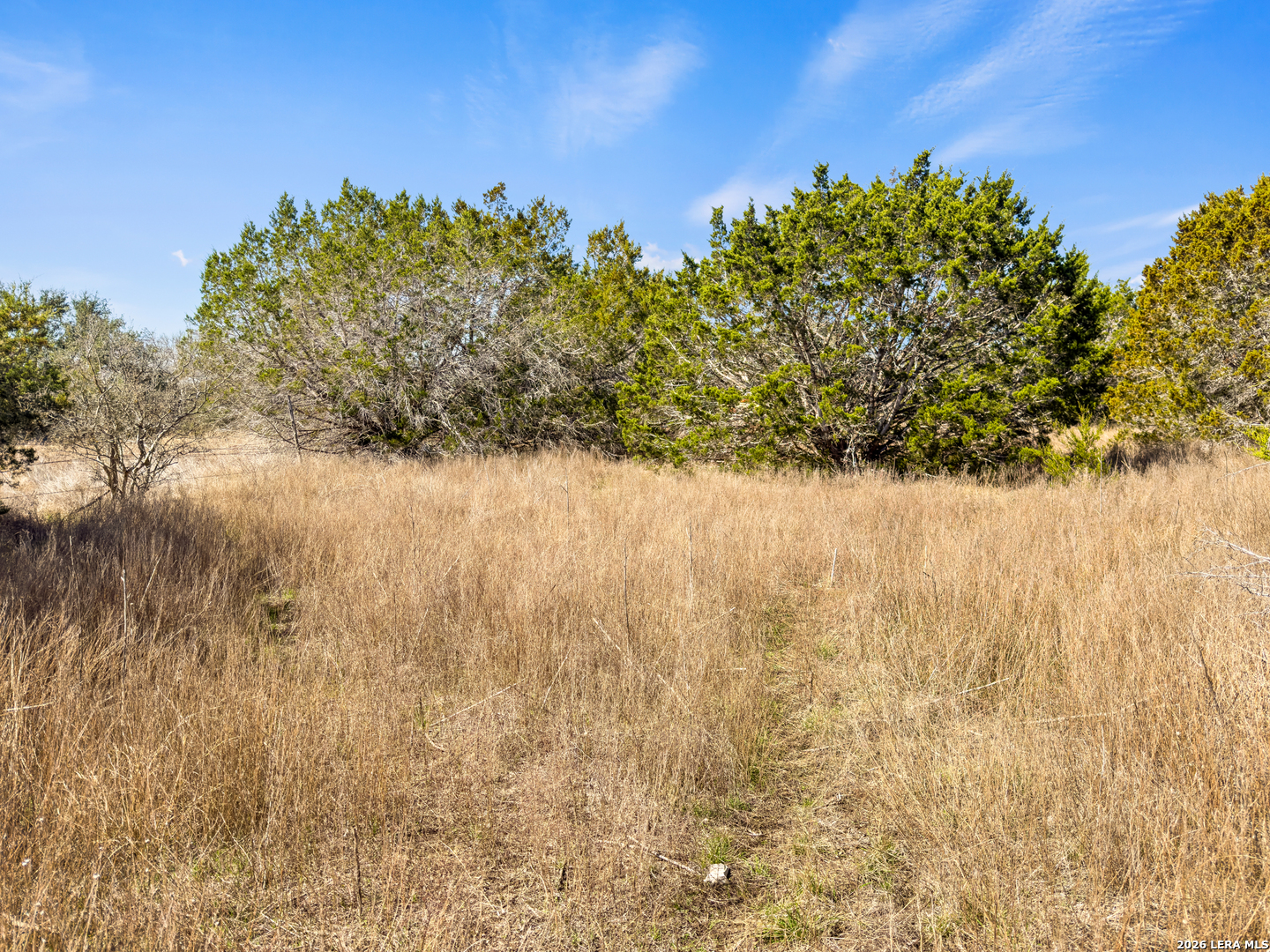 535 Left Fork Place Spring Branch TX 78070
