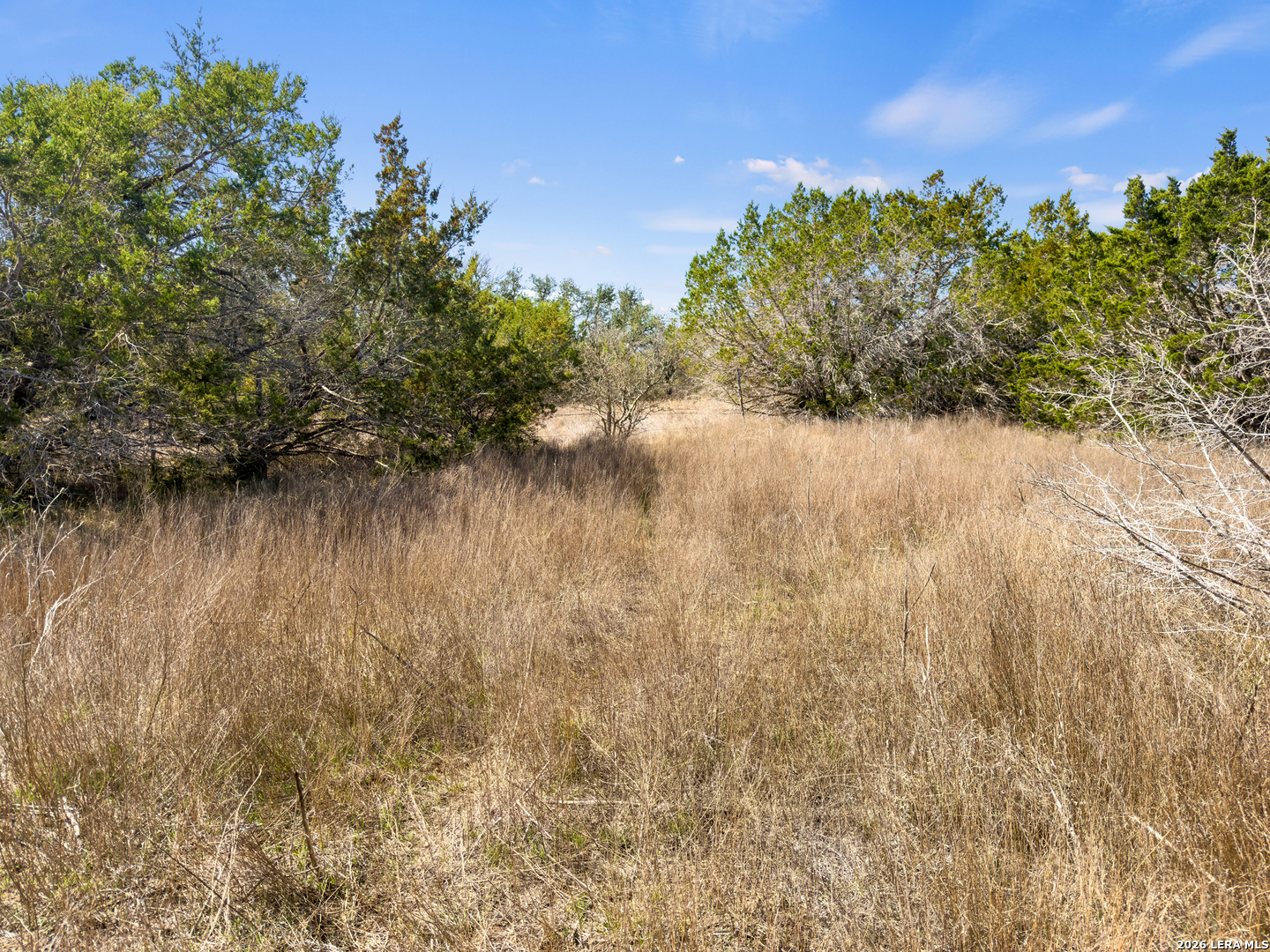 535 Left Fork Place Spring Branch TX 78070