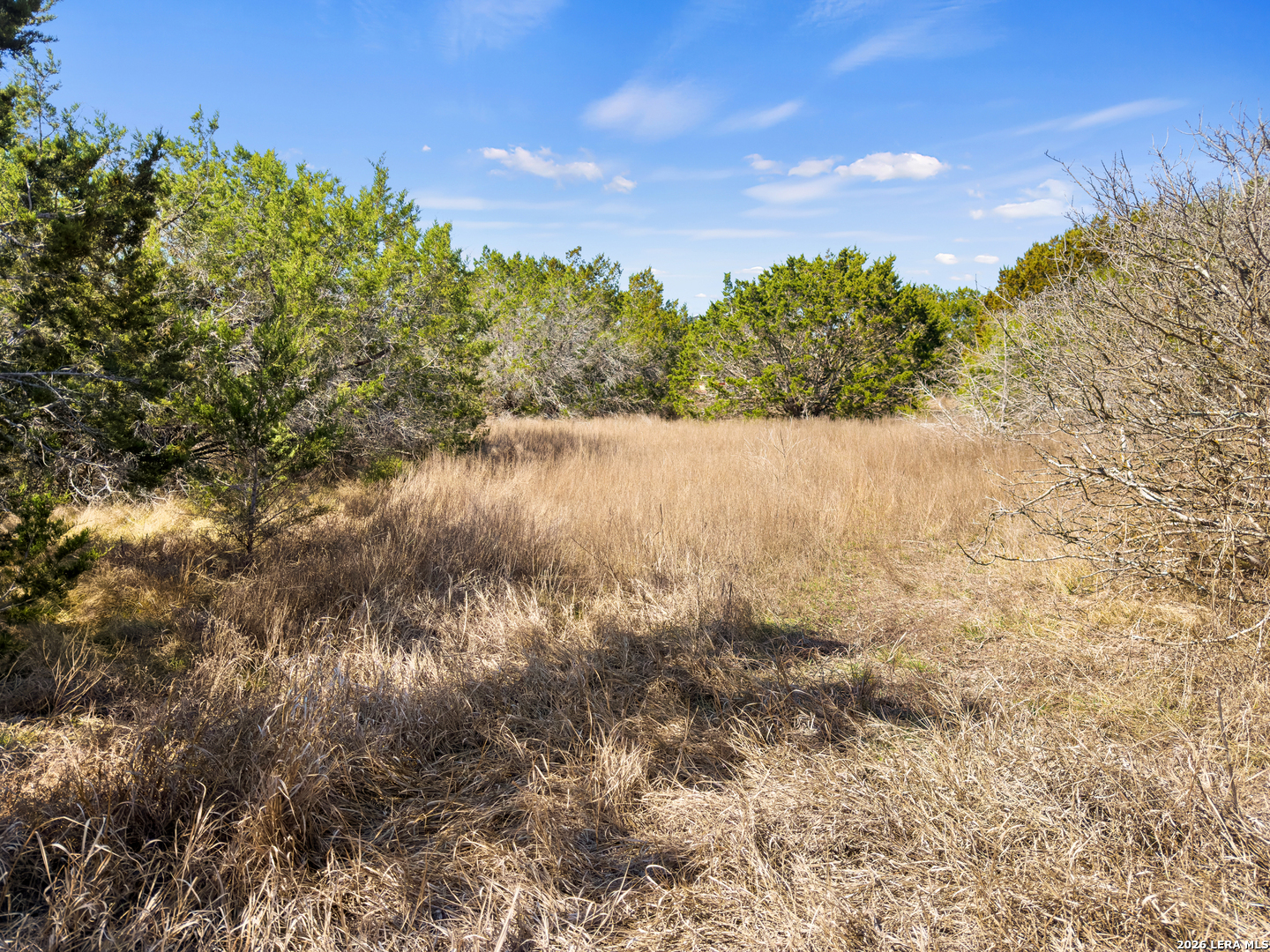 535 Left Fork Place Spring Branch TX 78070