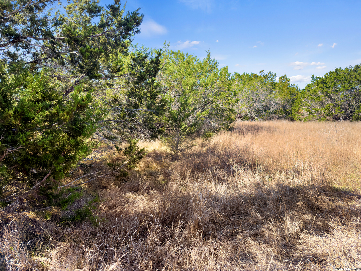 535 Left Fork Place Spring Branch TX 78070