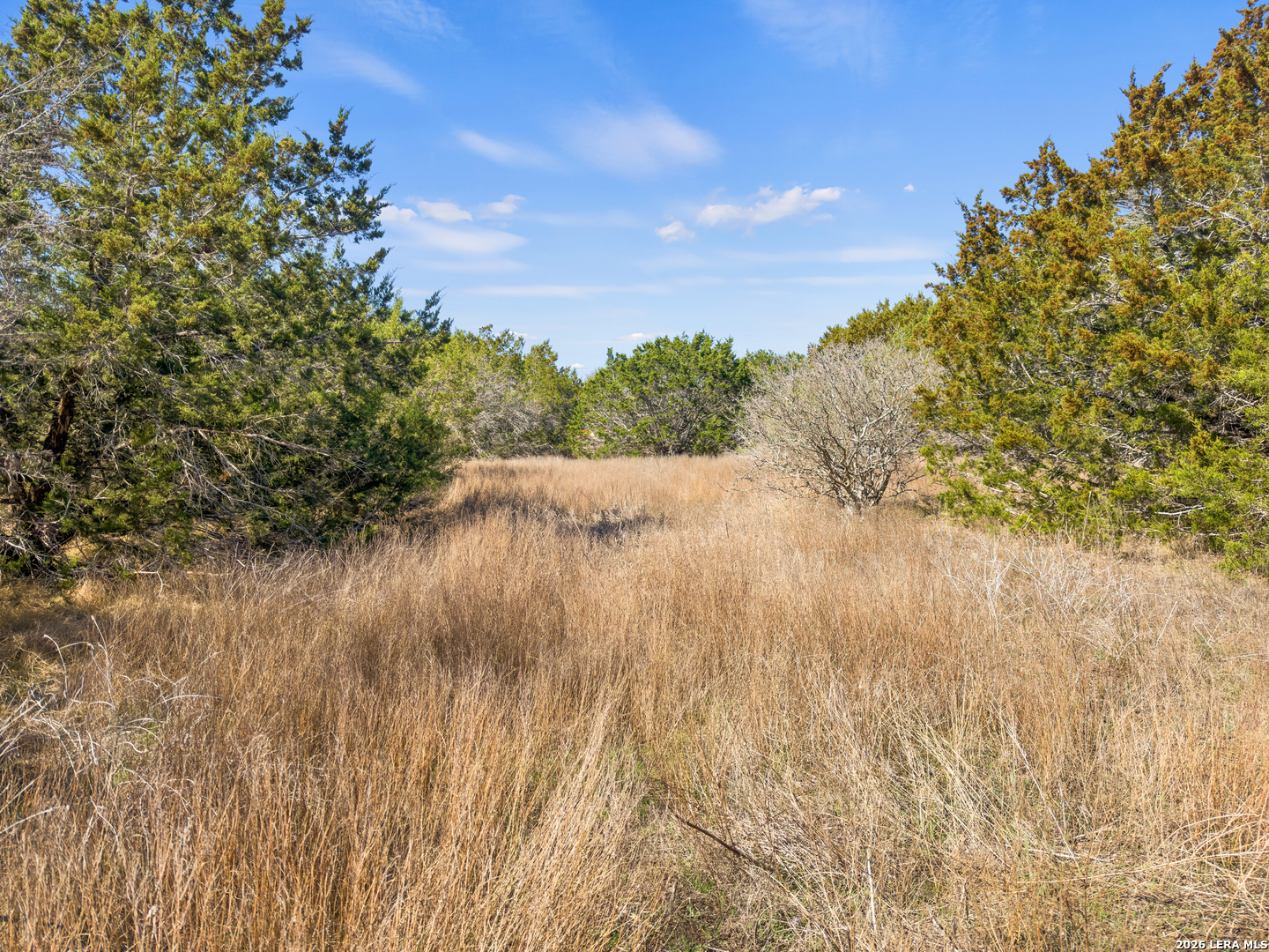 535 Left Fork Place Spring Branch TX 78070