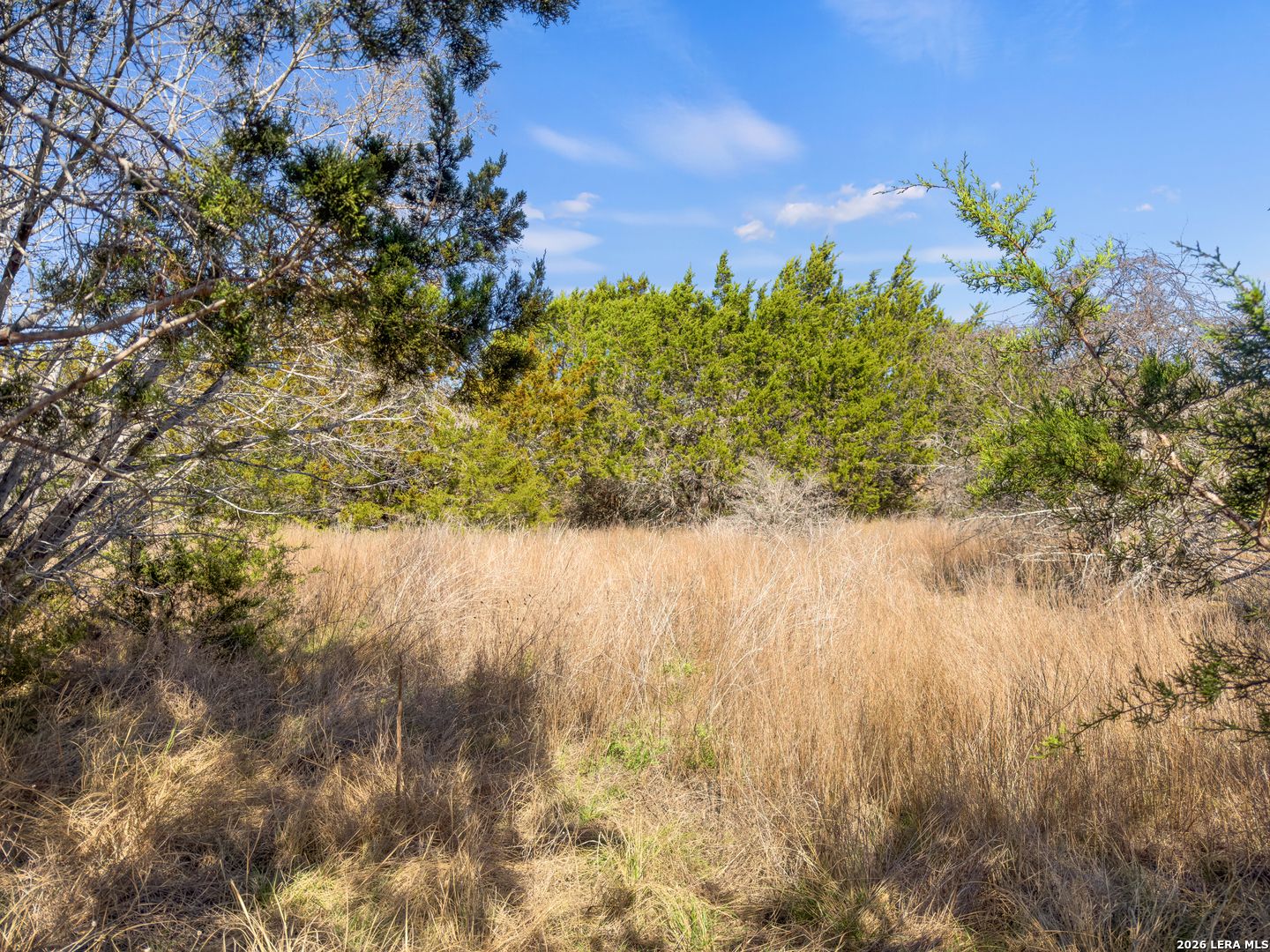 535 Left Fork Place Spring Branch TX 78070