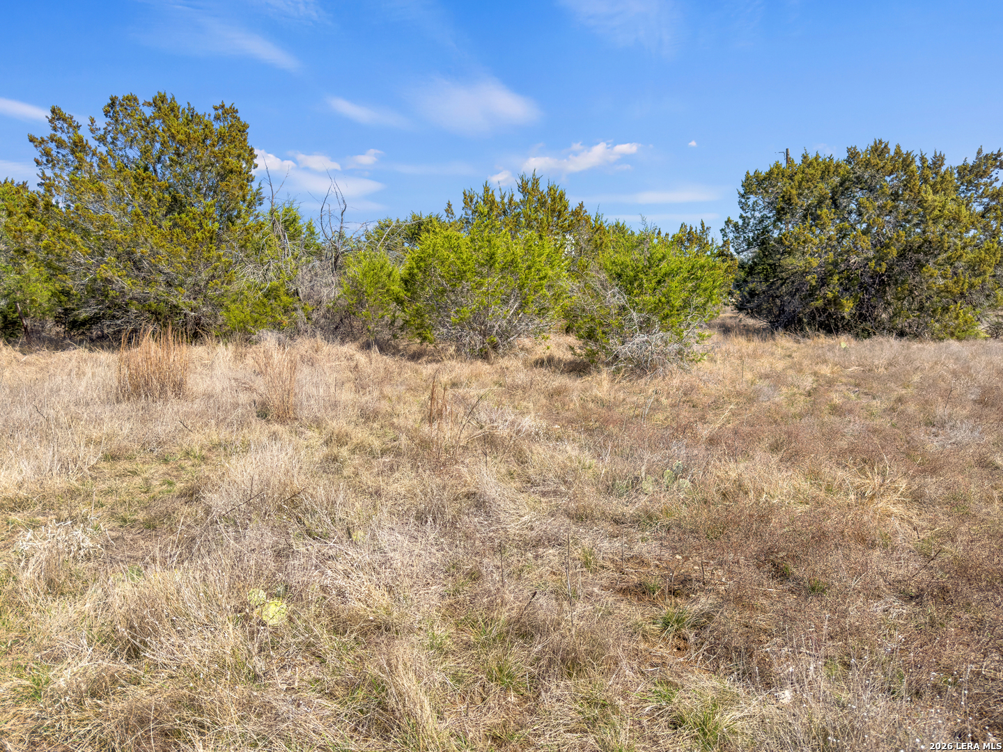 535 Left Fork Place Spring Branch TX 78070