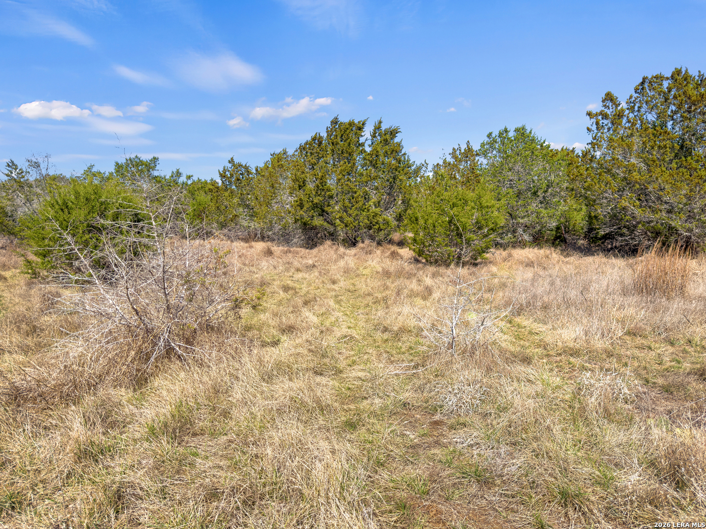 535 Left Fork Place Spring Branch TX 78070
